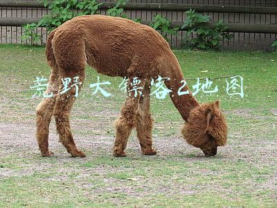 荒野大镖客2地图