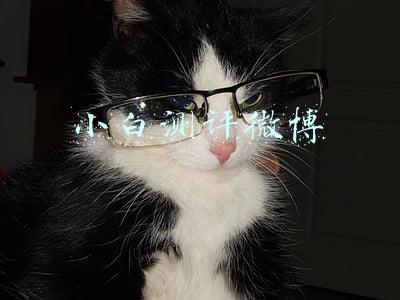 小白测评微博