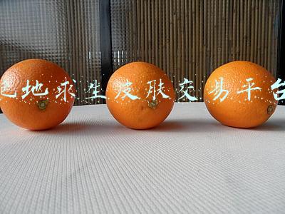 绝地求生皮肤交易平台