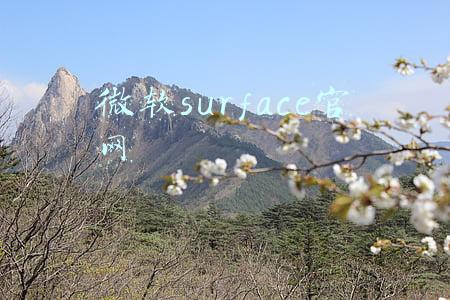 微软surface官网售后(微软平板换新后保修期两年变90天)