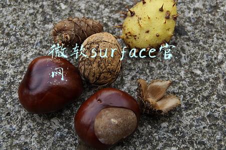 微软surface官网