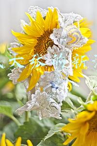 老股民大张的新浪博客手机版(缩量阴跌 下周能企稳反弹吗)