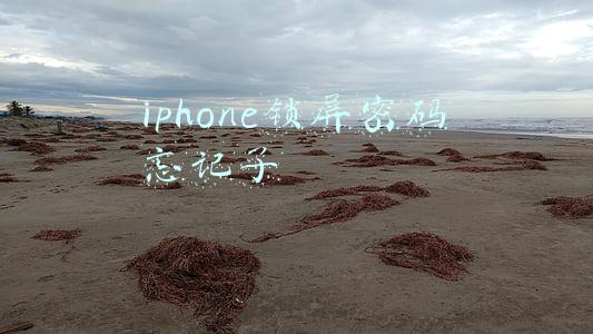 iphone锁屏密码忘记了