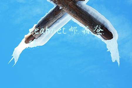 yeahnet邮箱登陆
