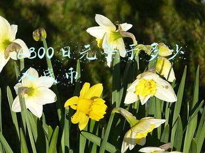 6800日元等于多少人民币