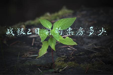 战狼2目前的票房多少