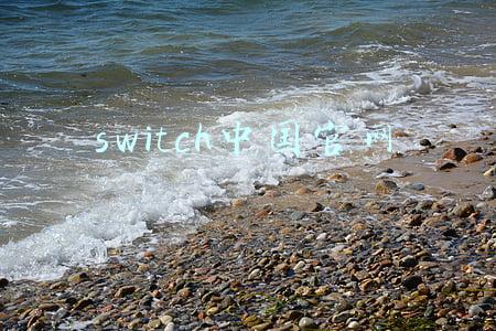 switch中国官网