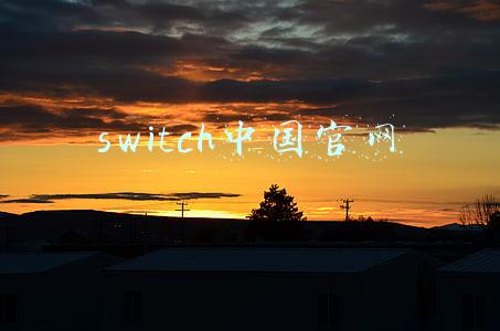 switch中国官网