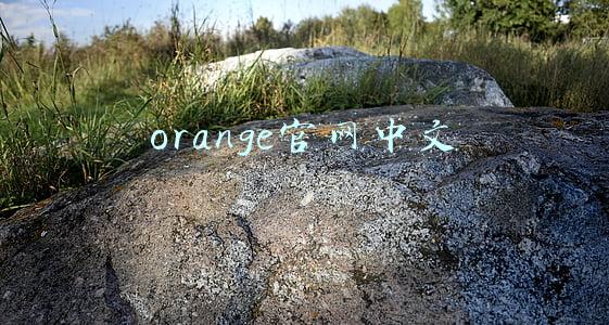 orange官网中文