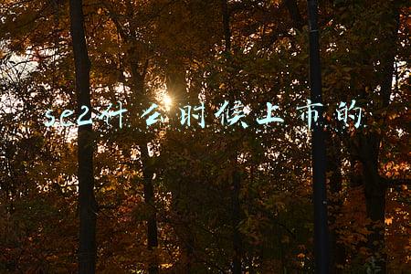 se2什么时候上市的