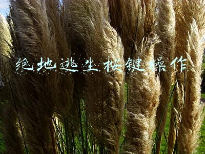 绝地逃生按键操作