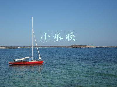 小米换