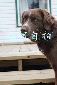 如何自拍