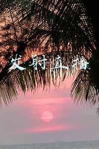 发射直播