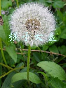 强于大盘