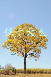 强于大盘