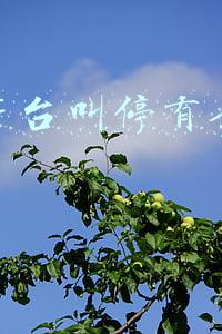 贵州茅台叫停有条件促销7(茅台紧急叫停促销活动背后：市场价与促销价高价差引来“黄牛”收酒)