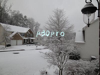 p30pro