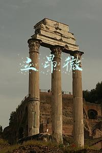 立昂微