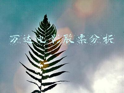 万达电影股票分析