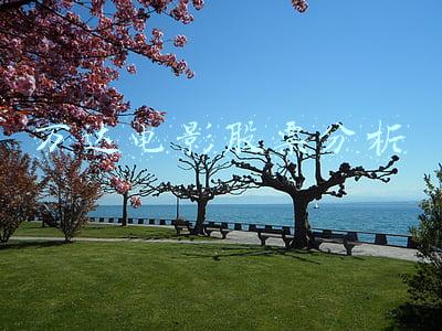 万达电影股票行情分析(万达电影再推股东低价购票 上市公司回馈现花式带货)