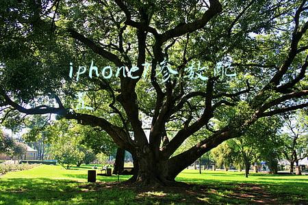 iphone7参数配置
