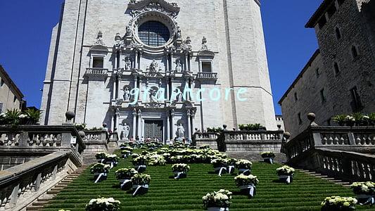 graphcore上市(英国AI芯片制造商Graphcore获得红杉资本5000万美元新投资)