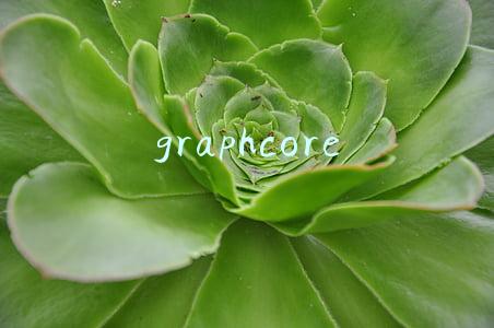 graphcore 估值(AI芯片公司Graphcore筹资2亿美元，估值达17亿美元)
