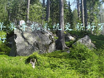 苹果手机系统更新好不好
