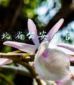河北省公安厅官网