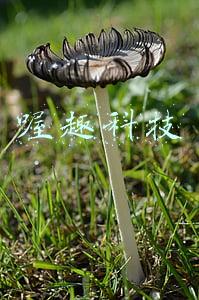 喔趣科技
