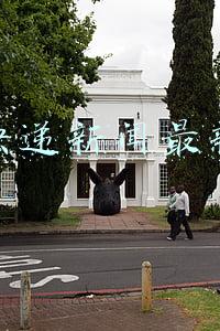 天天快递新闻最新消息