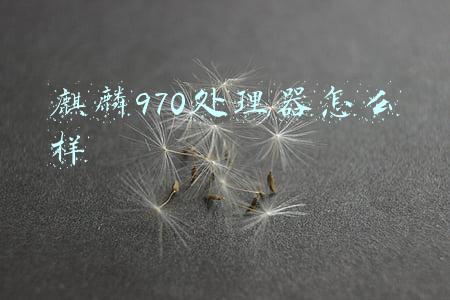 麒麟970处理器怎么样