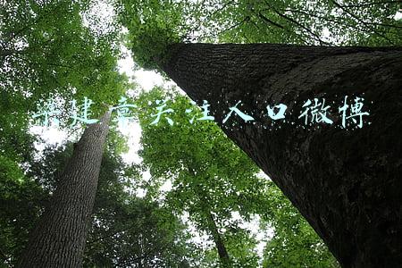 梁建章关注人口微博