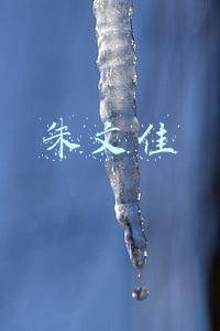 朱文佳