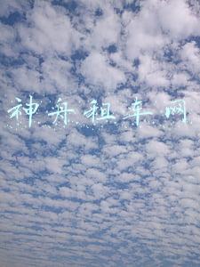 神州租车网官方网站(神州租车开放2022年清明假期租车预订)
