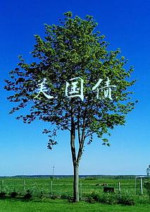 美国债