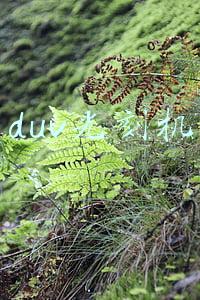 duv光刻机