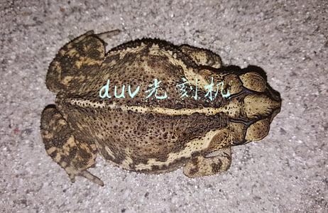 duv光刻机