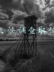 长沙调查取证