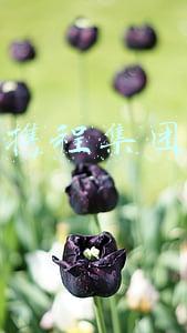 携程集团公司简介(携程集团2021年全年营收200亿元 同比增长9%)