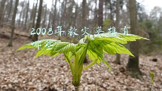2008年救灾英雄有哪些