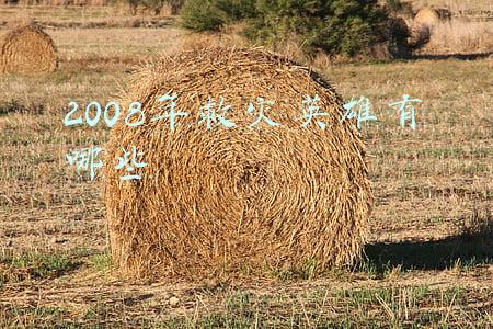 2008年救灾英雄有哪些