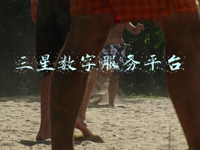 三星数字服务平台