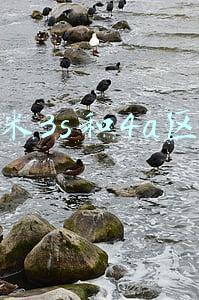 小米3s和4a区别