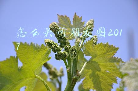 怎么关闭朋友圈2017