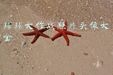 球球大作战的头像图片可通过的高清(球球大作战头像上传要注意什么问题 注意事项)