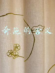 奇葩的含义