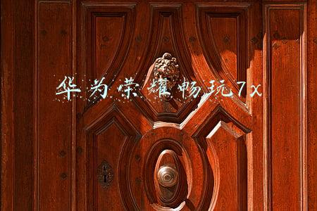 华为荣耀畅玩7x