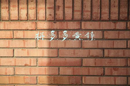 拼多多黄铮